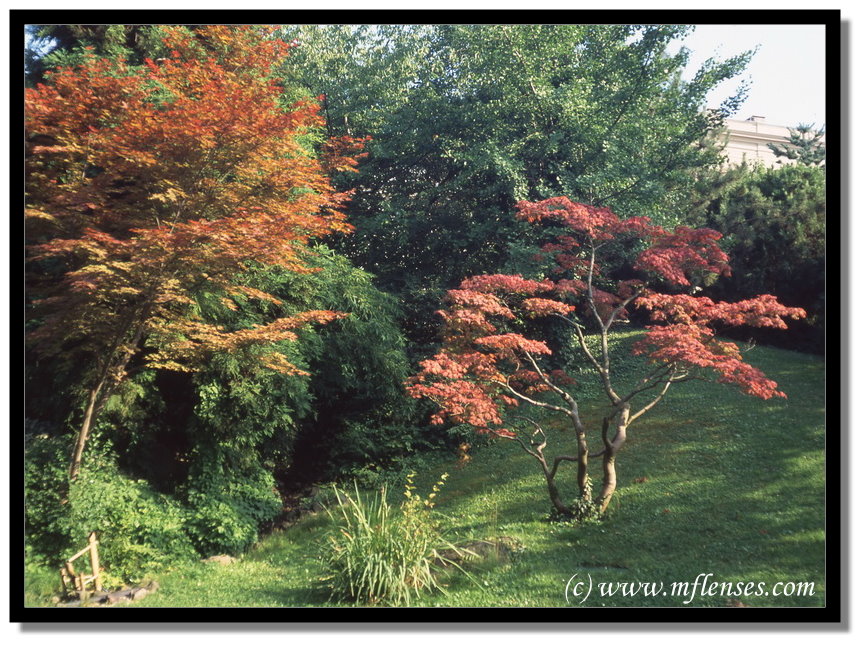 Carl Zeiss Biometar 80mm f2.8 sw - Pentax 645 - Provia 100