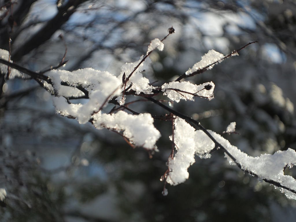 無限遠調整済 industar-69 28mm f2.8 L39 1-