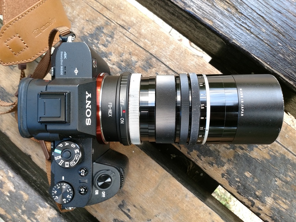 Canon 100mm F2.0 LTM on A7R II