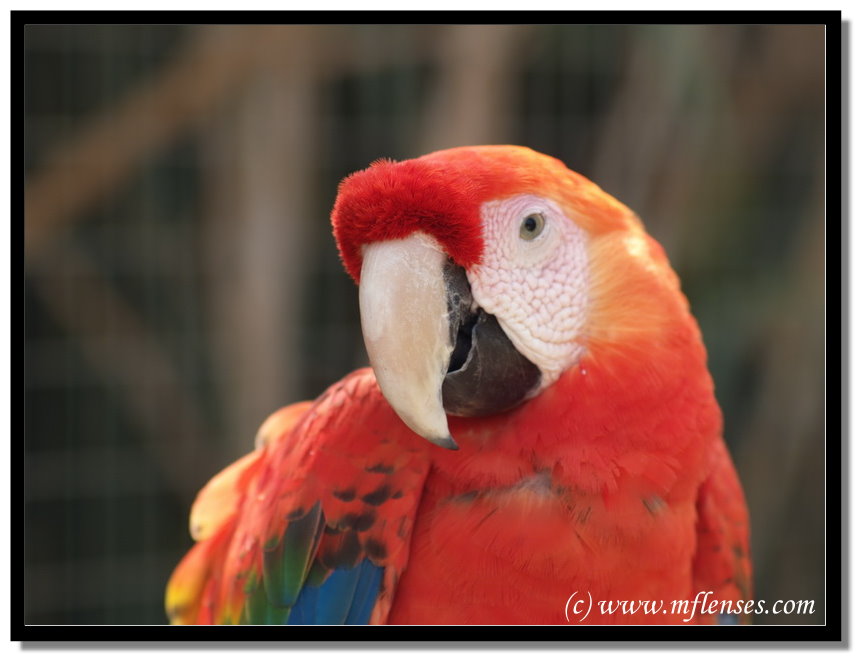 Tenerife Zoo